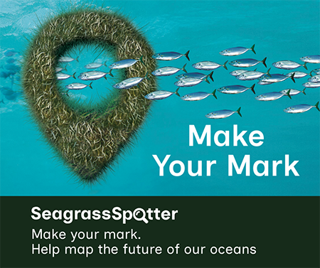 SeagrassSpotter 10,000