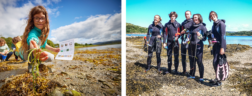 Great Seagrass Survey