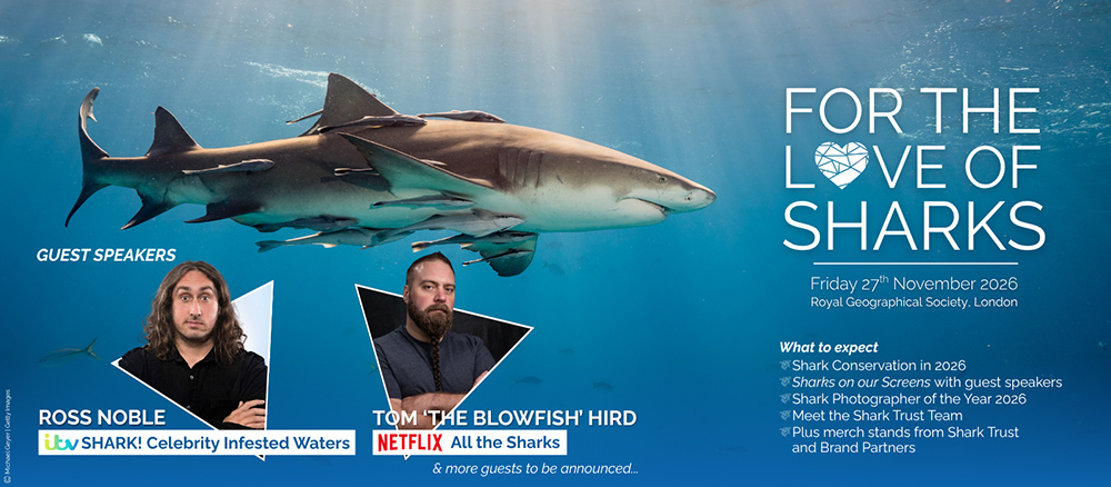 For The Love of Sharks