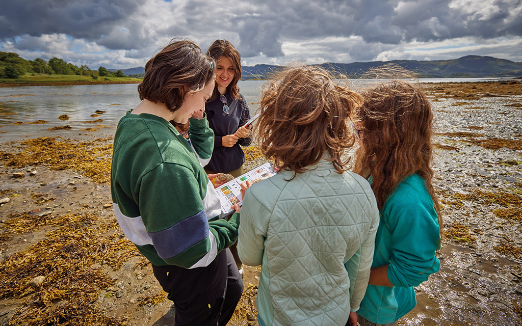 Group of people on the beach shore surveying