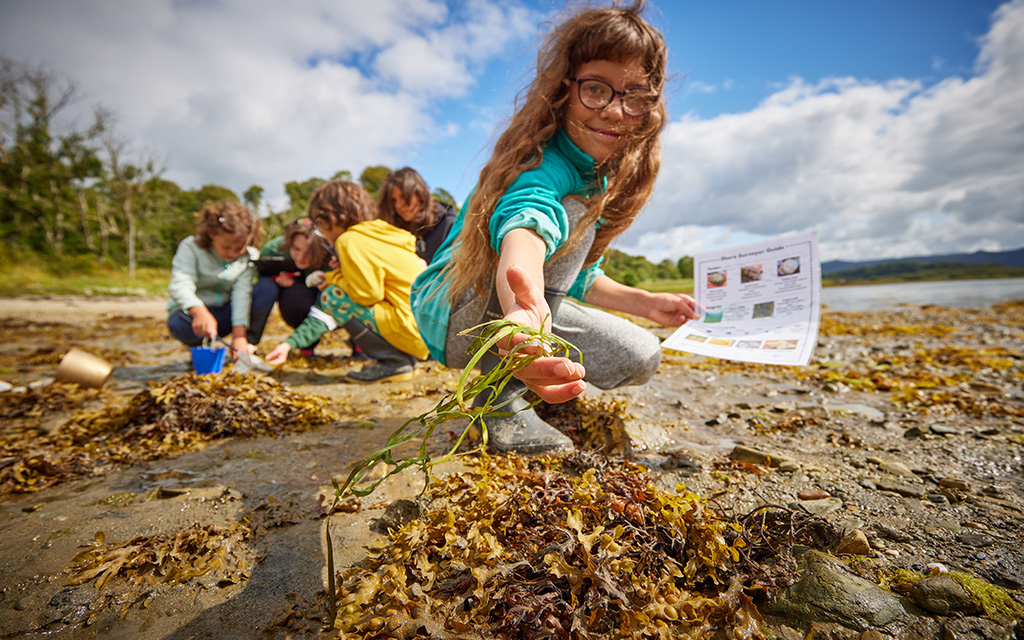 Child on the beach holding seagrass