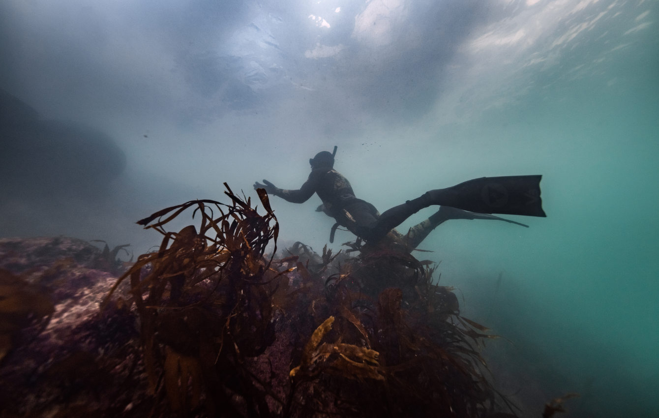 Andy Torbet exploring the shallows