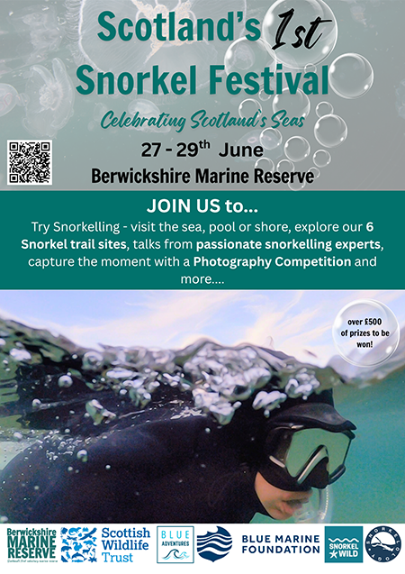 Snorkel festival flyer