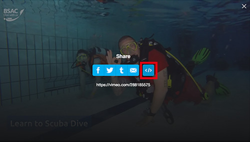 Step 3 - click the embed icon