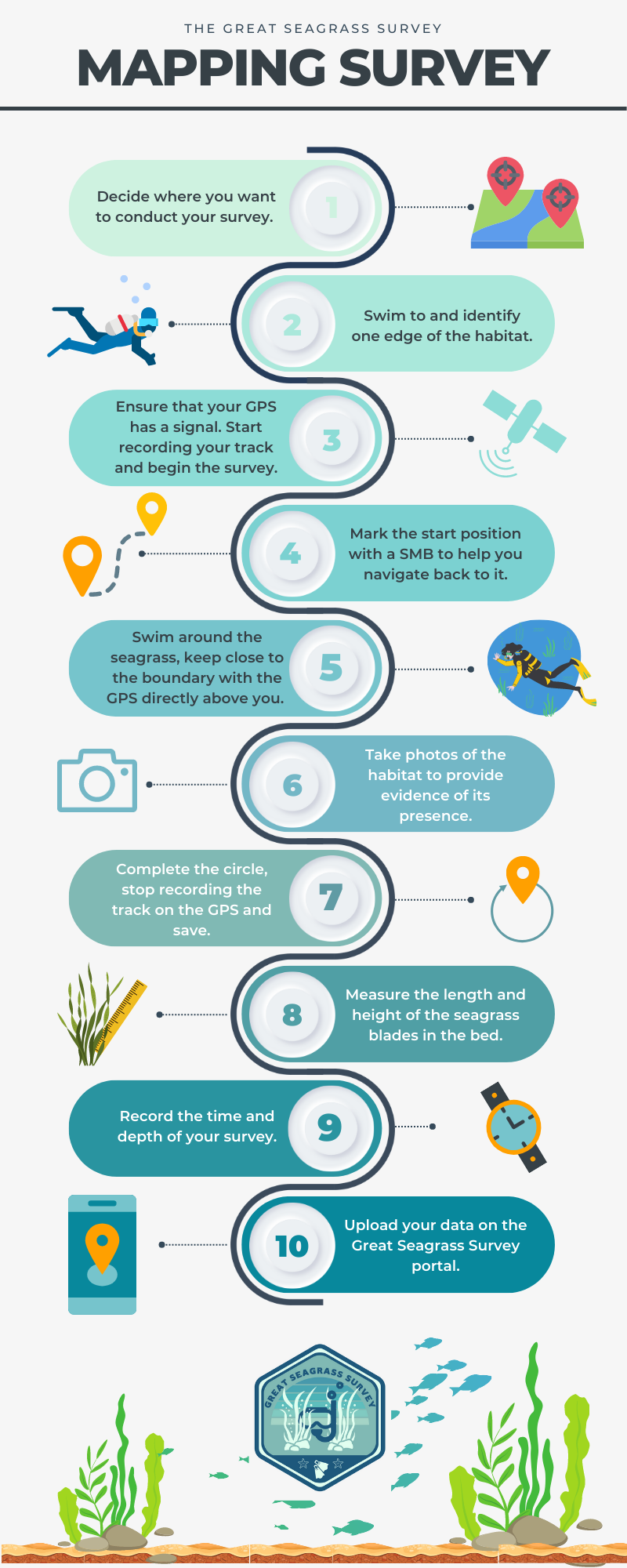 Seagrass mapping steps