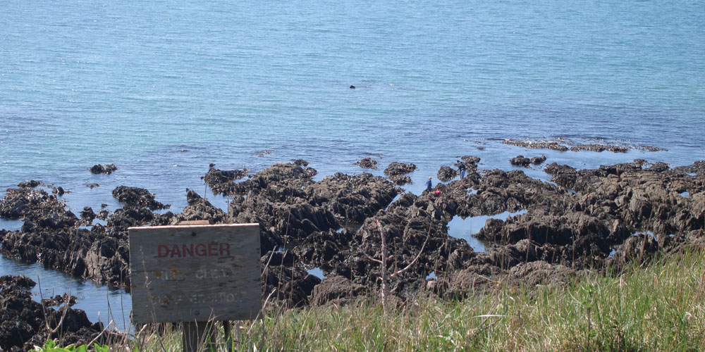 The Louis Shield wreck at low water