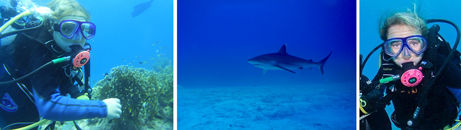 Tillie on the Great Barrier Reef