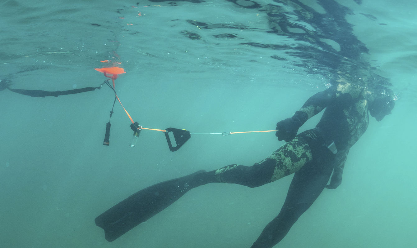 Photo of Andy Torbet snorkelling from below.