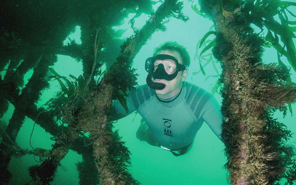 Andy Torbet swimming through the bars and beams of the Louis Shied, Devon