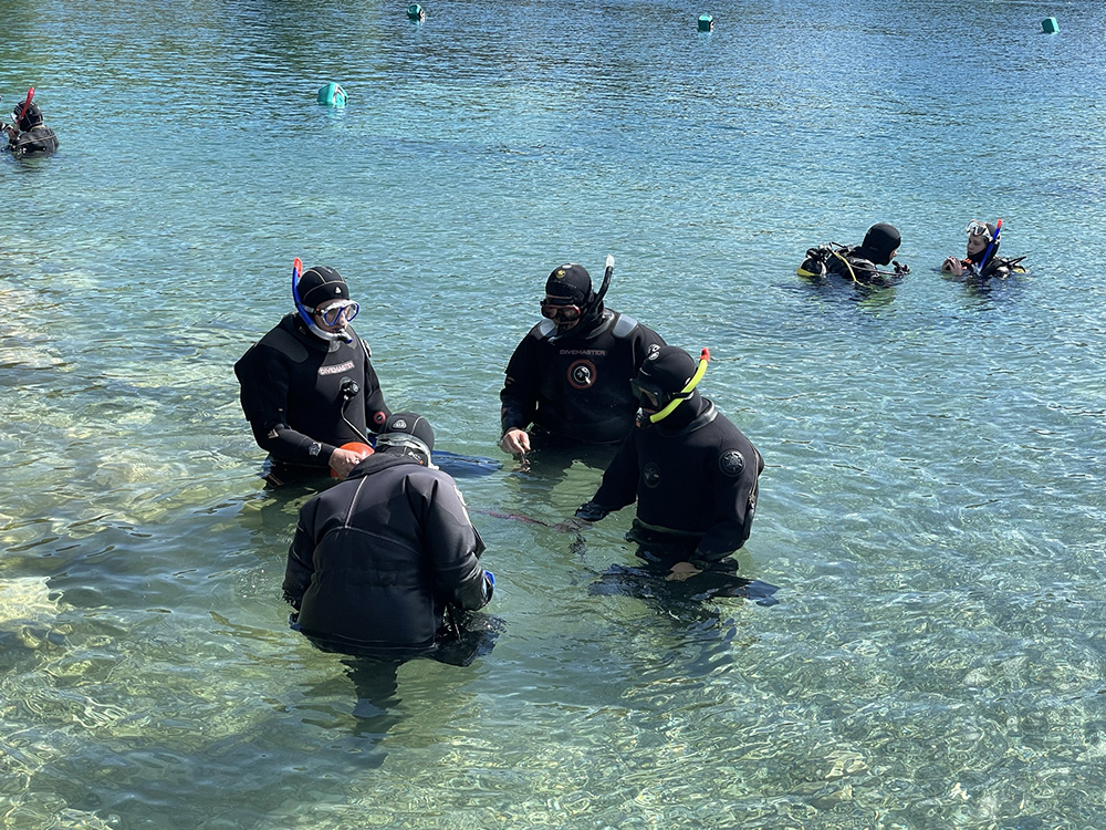 Snorkel training
