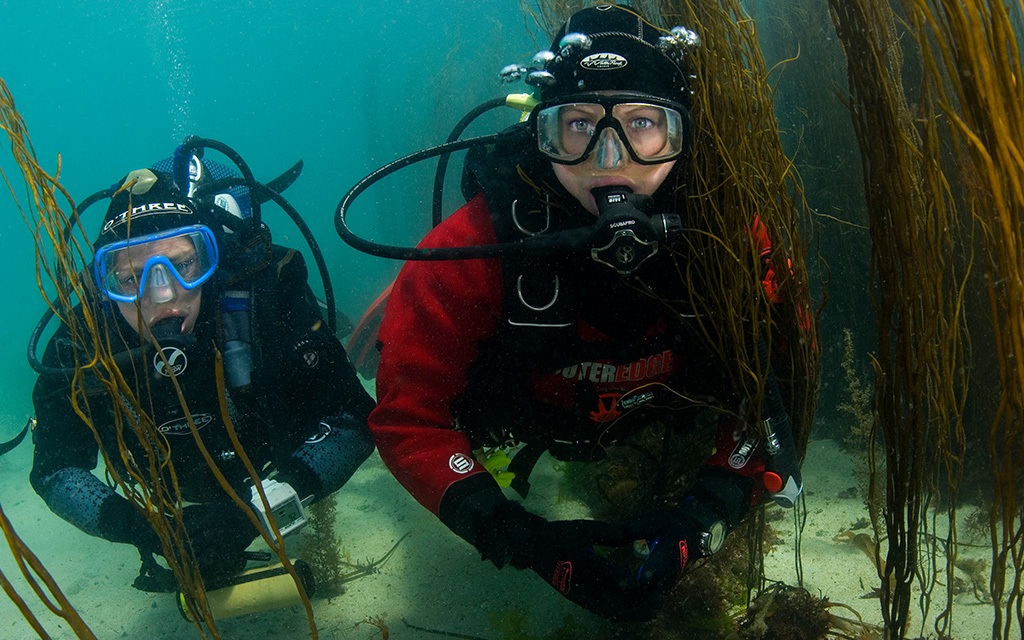 Two scuba divers in shallow waters