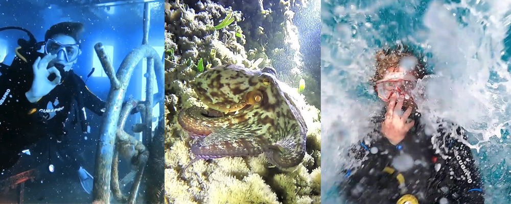 Pissouri divers x 3 pics