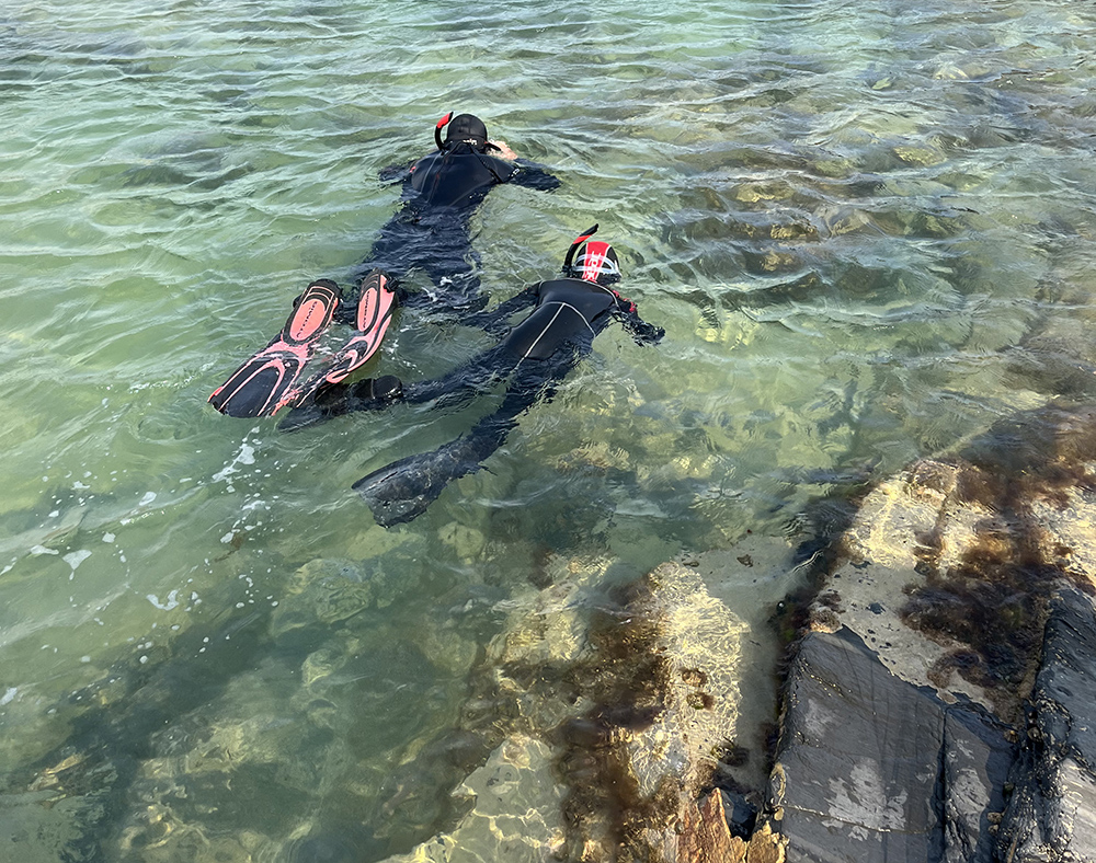 Snorkelling in a tidal pool