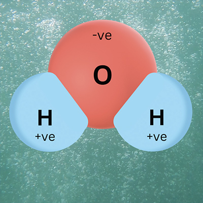 Water molecule