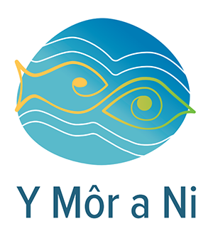 Y mor a Ni