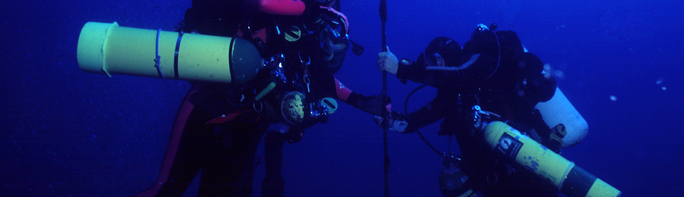 www.bsac.com