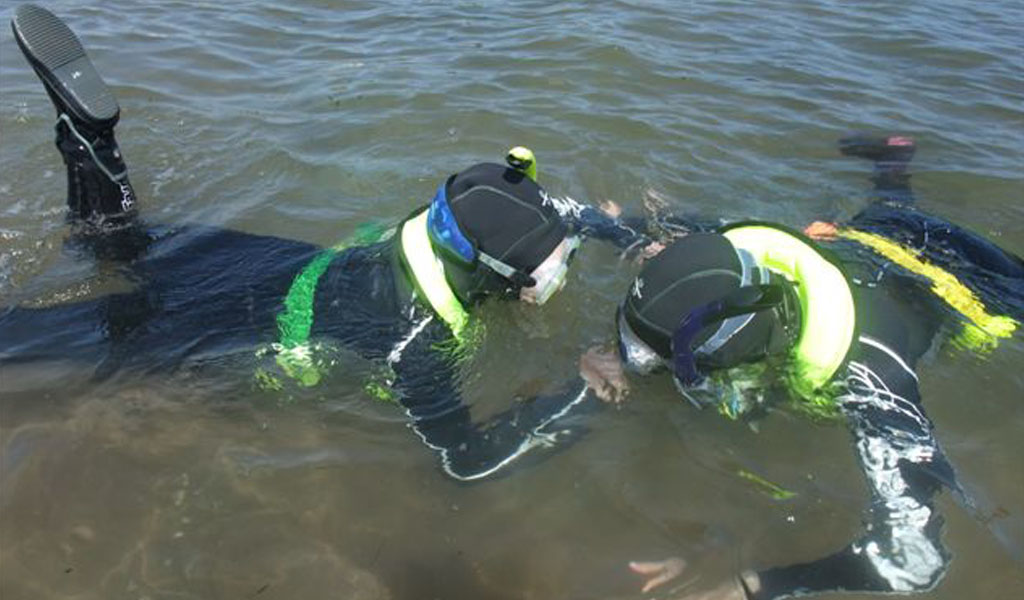 Should you pee in your wetsuit? British SubAqua Club