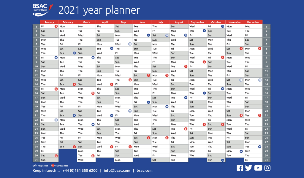 Free Printable Wall Calendar 2022