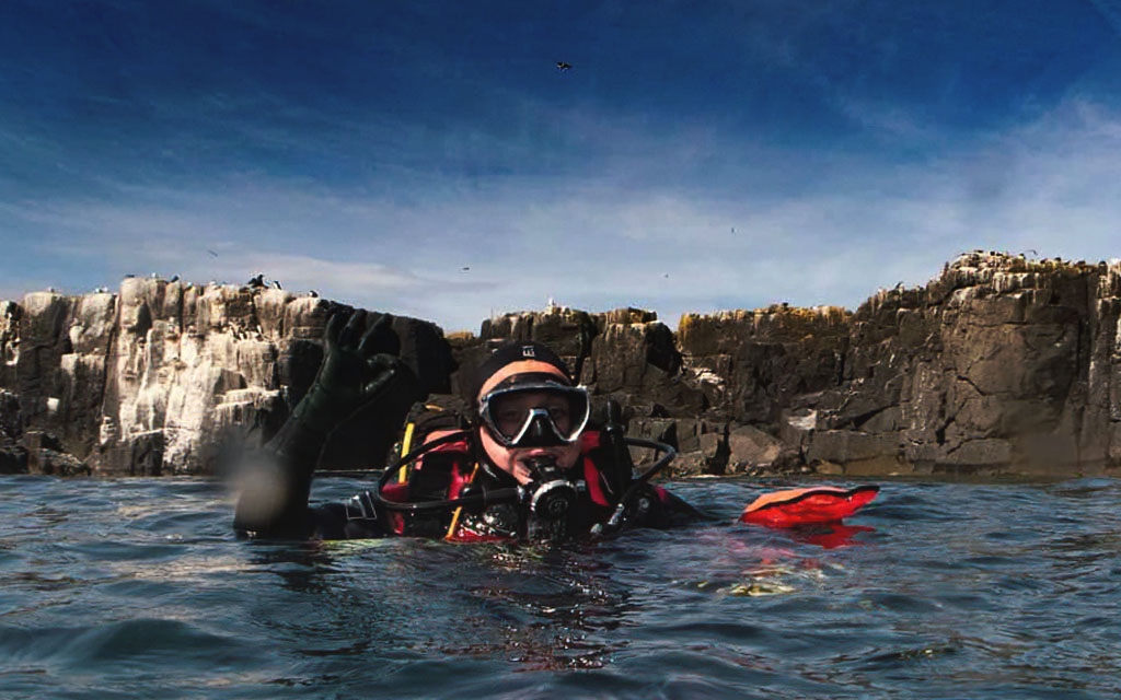 Farne Islands expedition success - British Sub-Aqua Club