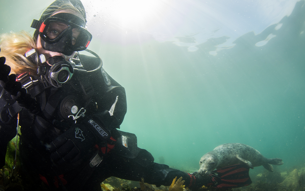 How To Become A Scuba Diver During Covid British Sub Aqua Club