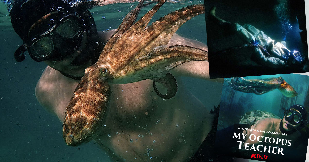 2 amazing underwater films on Netflix British SubAqua Club