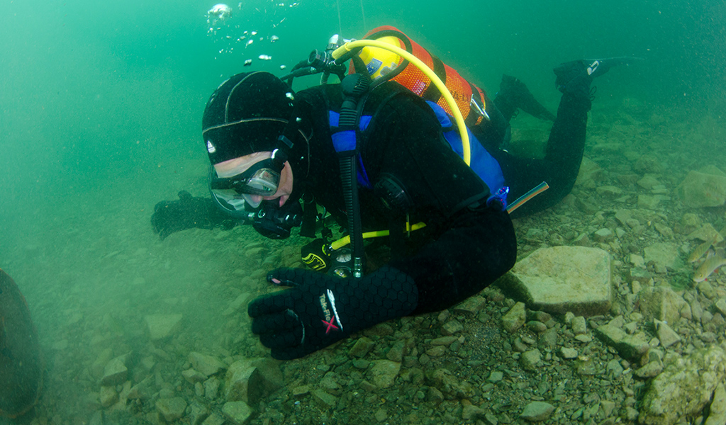 Seizures and epilepsy Anatomy of a diver British SubAqua Club