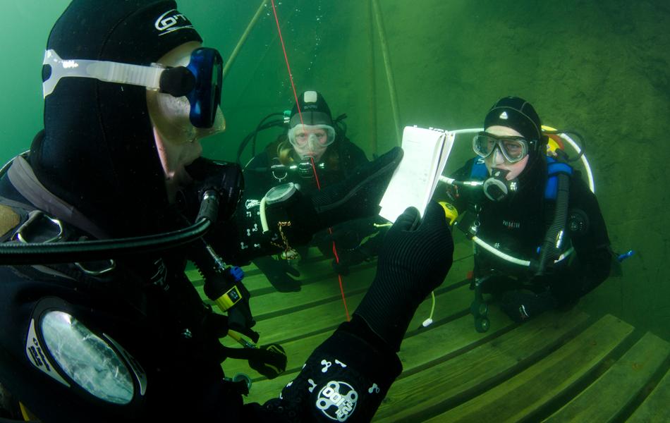 Let's grow diving this year